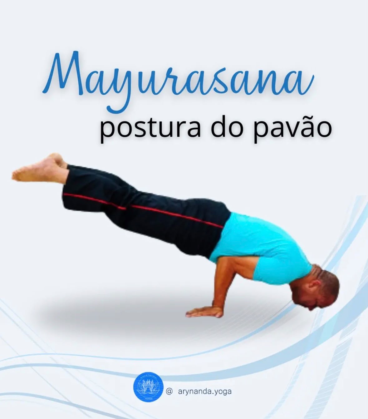 Mayurasana - Postura do Pavão